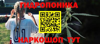 мдпв Рязань