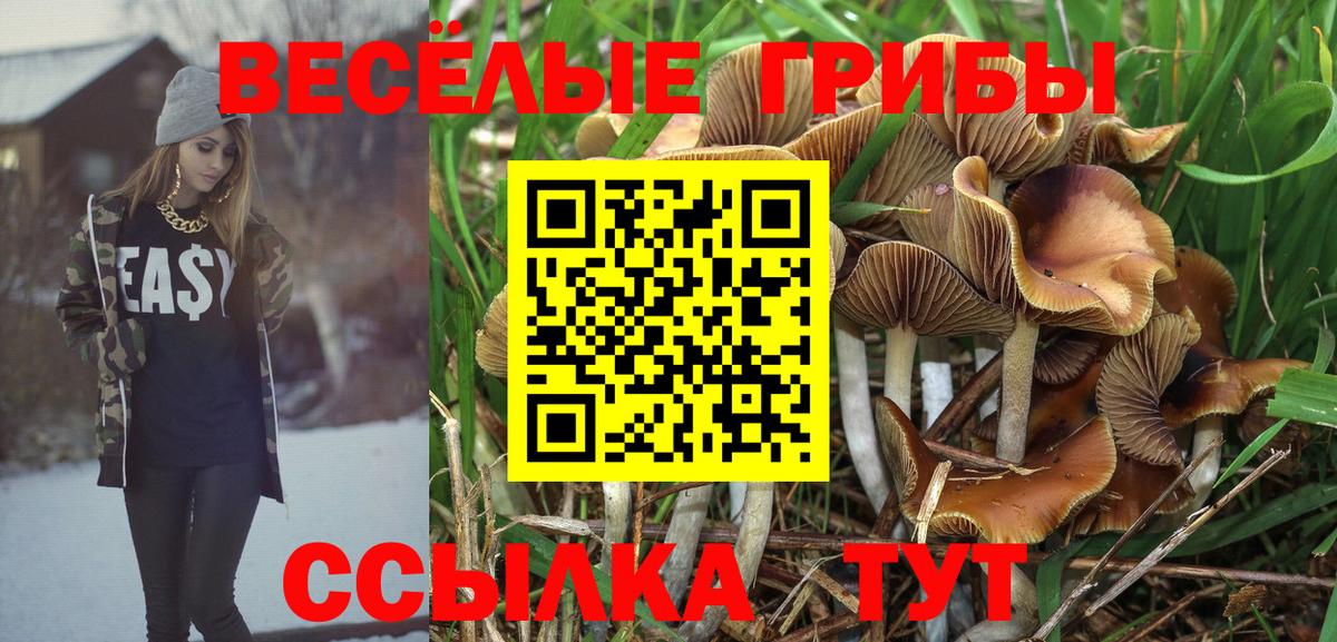 Галлюциногенные грибы MAGIC MUSHROOMS Печора