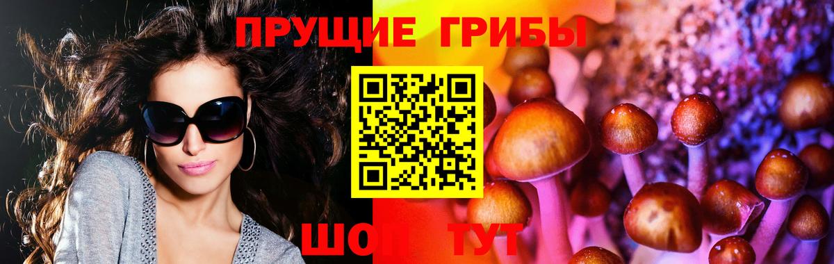 Галлюциногенные грибы Psilocybe  Вход с VPN  Печора  закладка  Псилоцибиновые грибы прущие грибы 